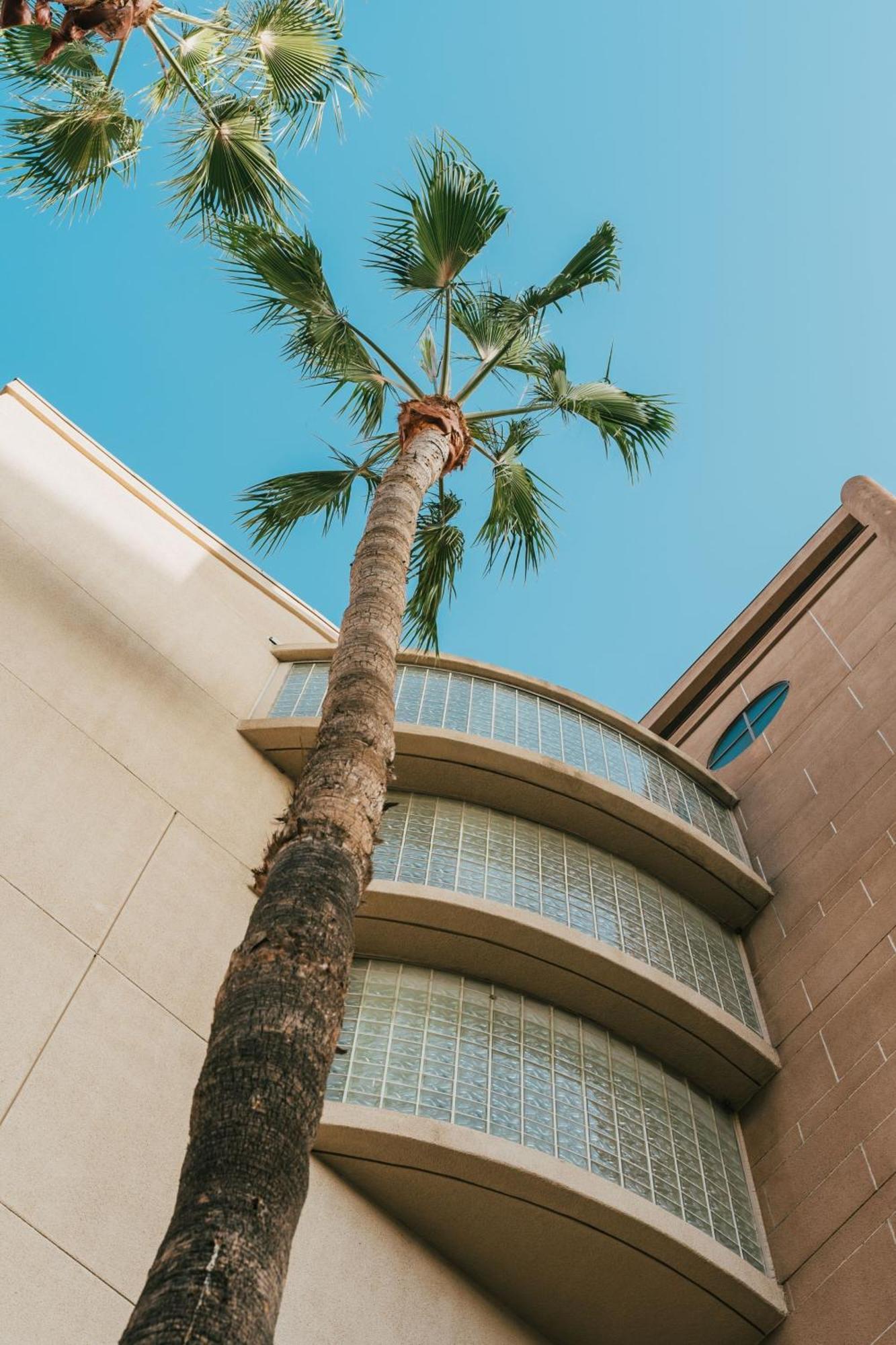Courtyard By Marriott Los Angeles Lax / Century Boulevard Zewnętrze zdjęcie