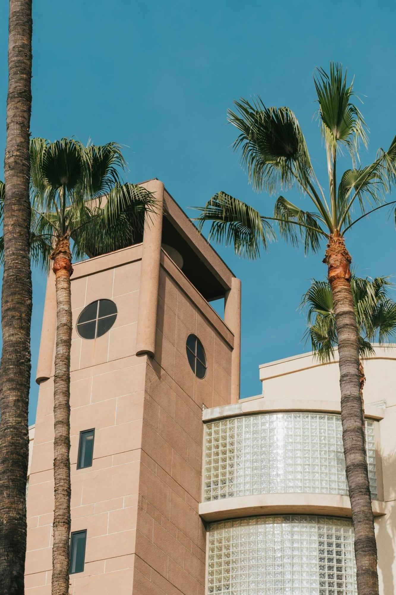 Courtyard By Marriott Los Angeles Lax / Century Boulevard Zewnętrze zdjęcie